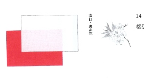 sakurairo.jpg