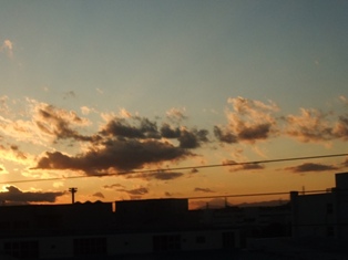 yokohama fujisan.jpg