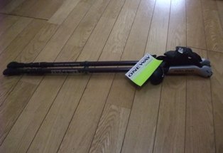 nordic walking pole1.jpg