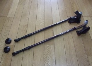 nordic walking pole2.jpg