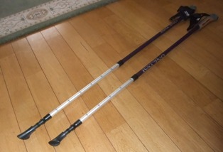 nordic walking pole3.jpg