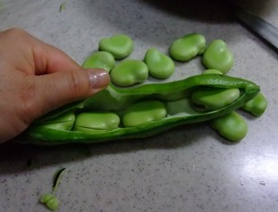 soramame1.jpg