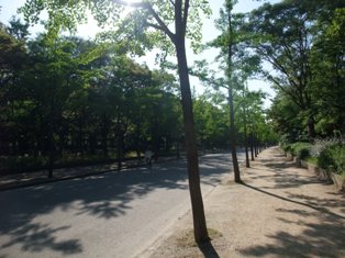 oosakacastlepark.jpg