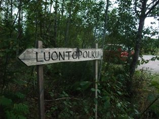 luontopolkku.jpg