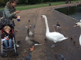 bird and baby2.jpg