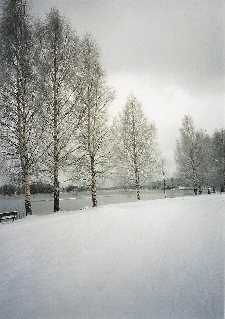 talvi 2001.jpg