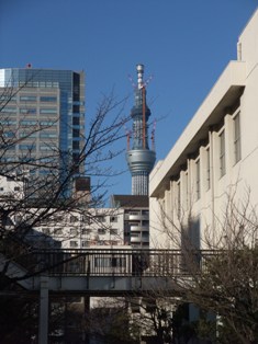 ryogoku and skytree.jpg