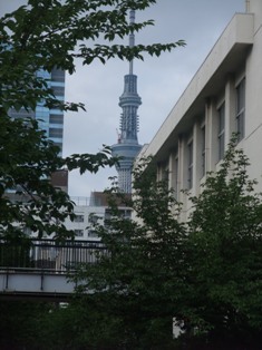 ryogoku skytree.jpg