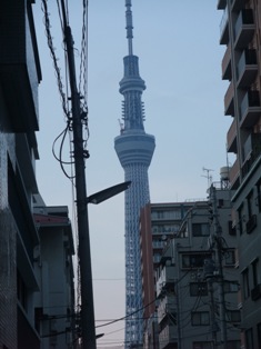 sky tree3.jpg