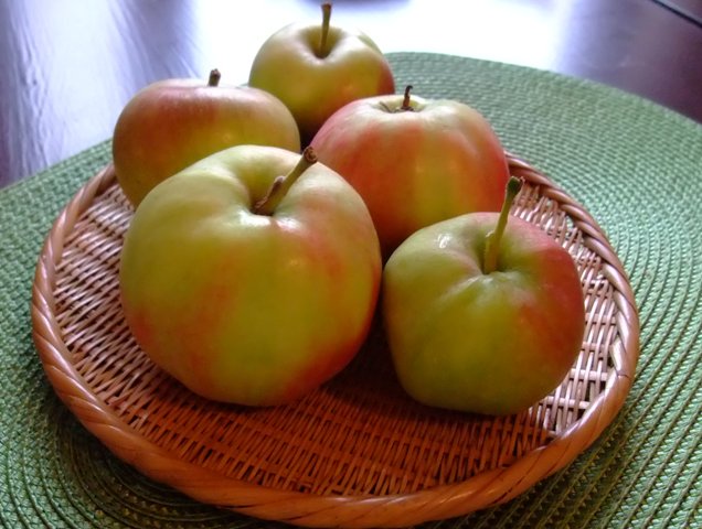 omena suomi 2011.jpg
