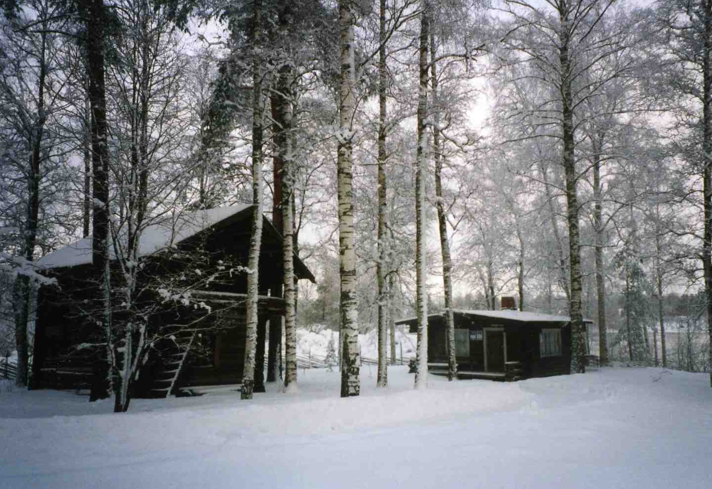 風景０６カレリヤ地方の冬.jpg