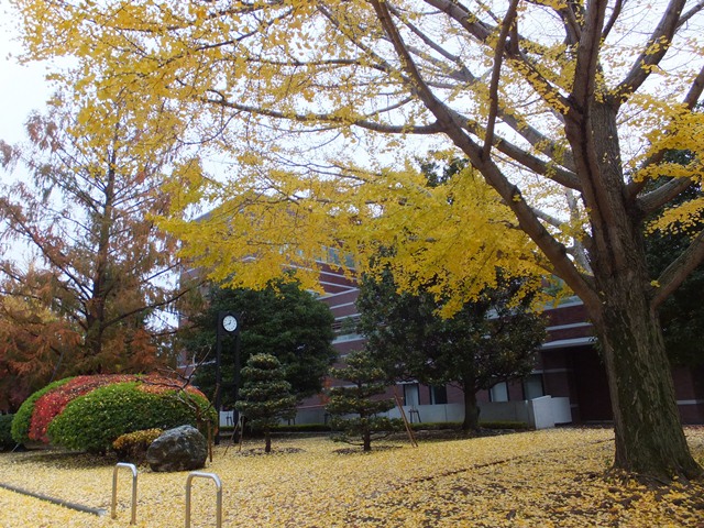 ondai6.jpg