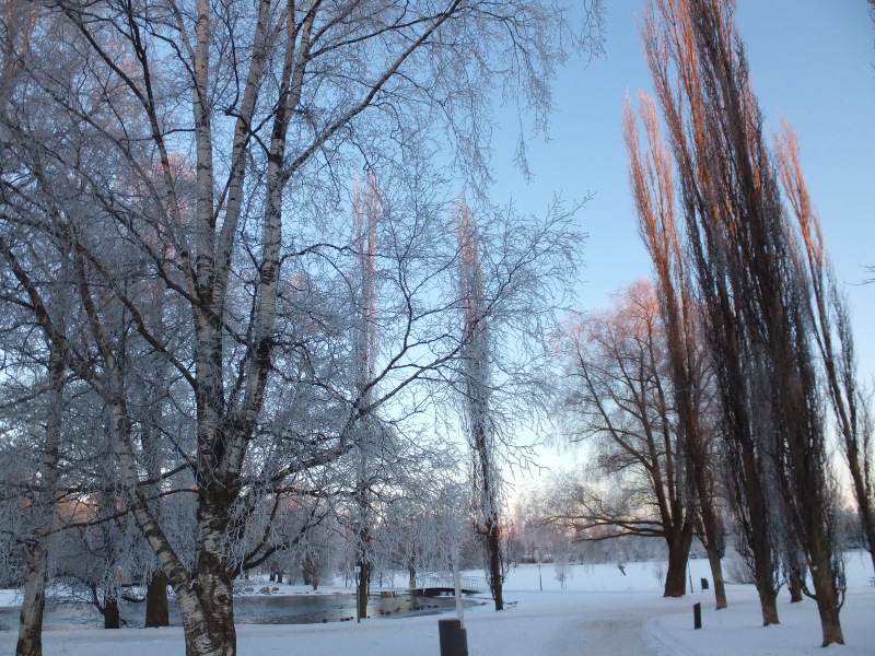 lahti2014+3.jpg